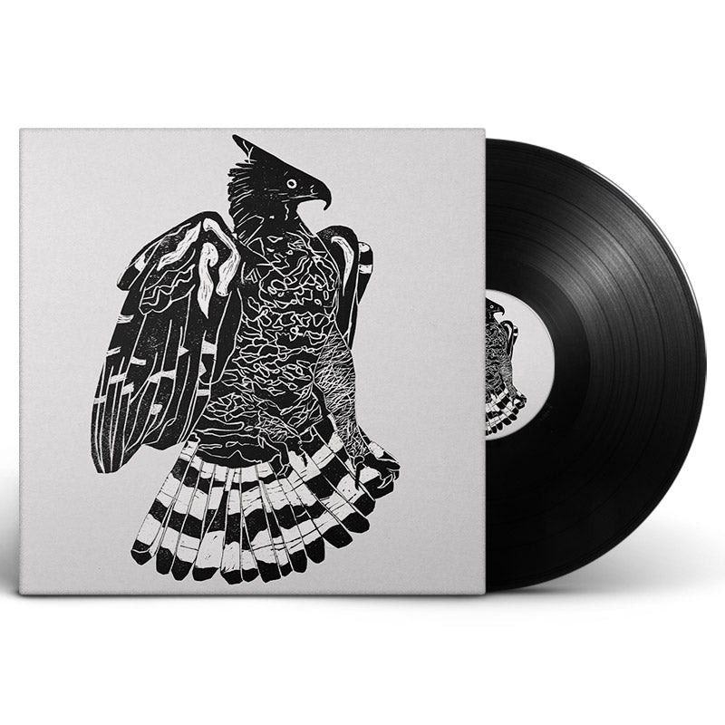 Alpha Steppa | X-Ray Production